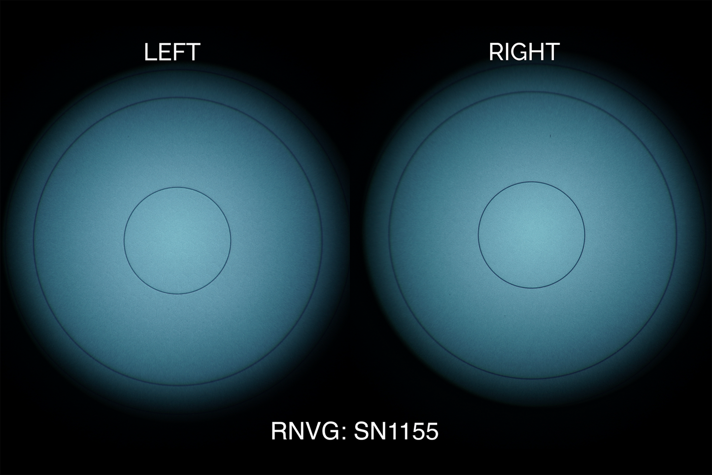 AB Night Vision RNVG (Refurbished)