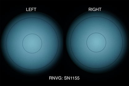 AB Night Vision RNVG (Refurbished)