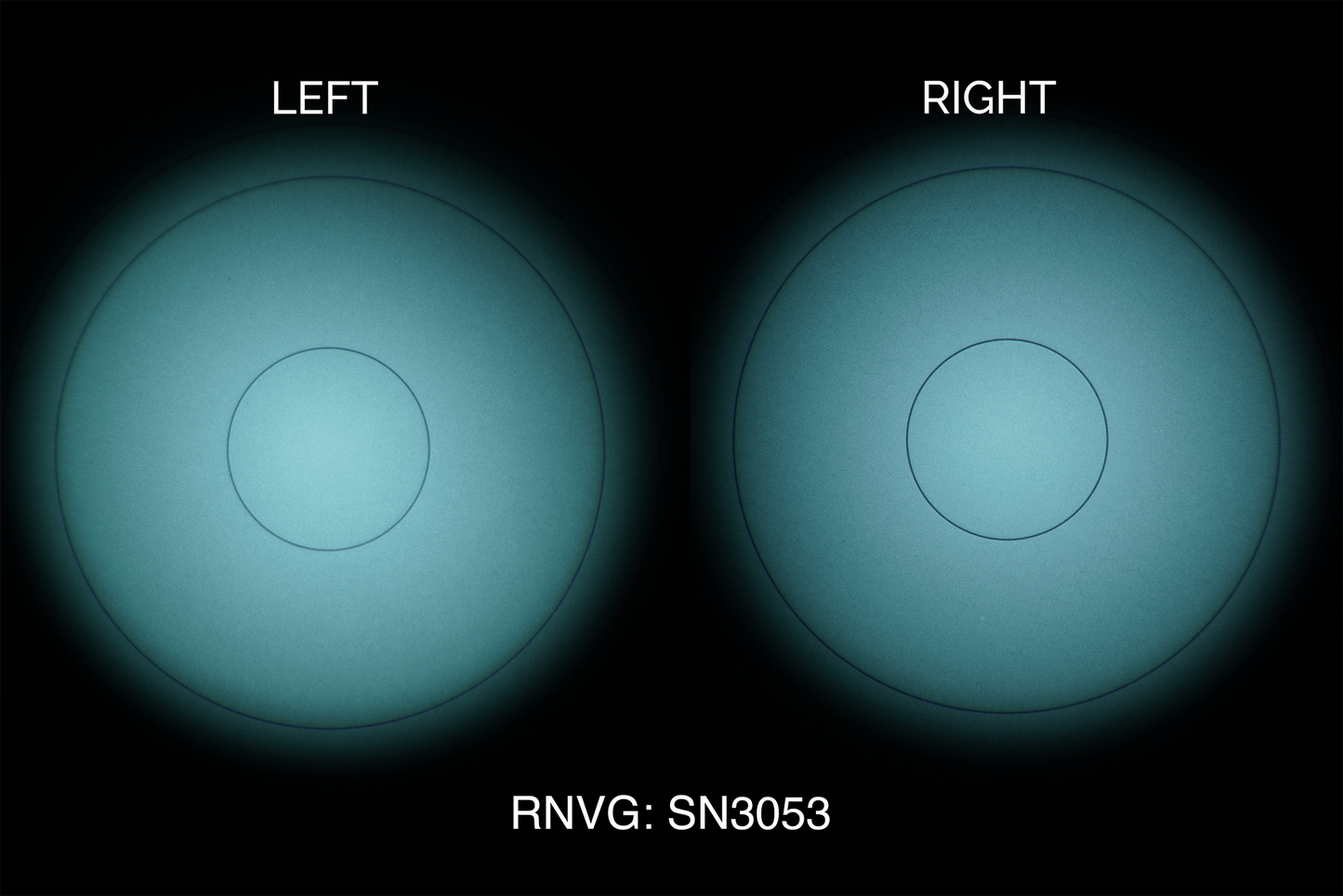 AB Night Vision RNVG (Refurbished)