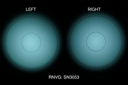 AB Night Vision RNVG (Refurbished)